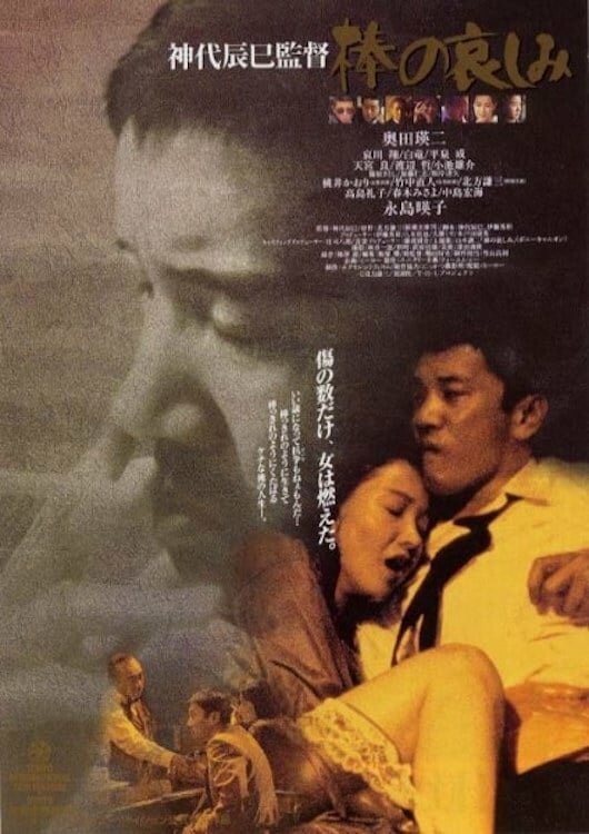 Bô no kanashimi (1994)